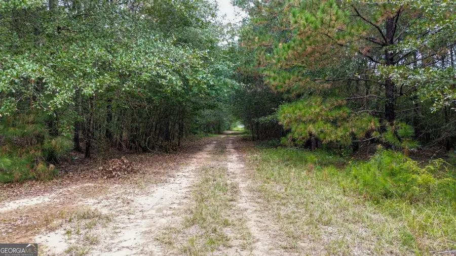 0 Willow Creek Drive, Oglethorpe, GA 31068 - #3