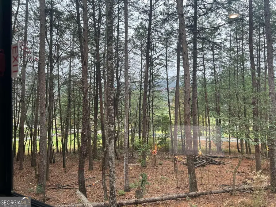 LOT 5 Morganton Highway, Suches, GA 30572 - #3