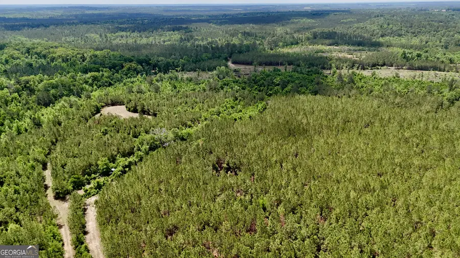 0 Neily Wagon Road, Mc Rae Helena, GA 31055 - #2