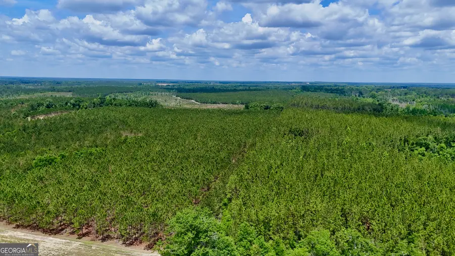 0 Neily Wagon Road, Mc Rae Helena, GA 31055 - #3
