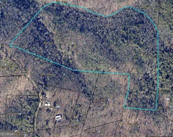 28.4 AC Black Dog Trail, Blue Ridge, GA 30513 - #2