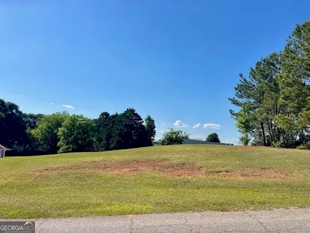 317 Smith Street, Royston, GA 30662 - #3