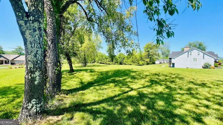 LOT 108 Owen Glen, Blairsville, GA 30512 - #2