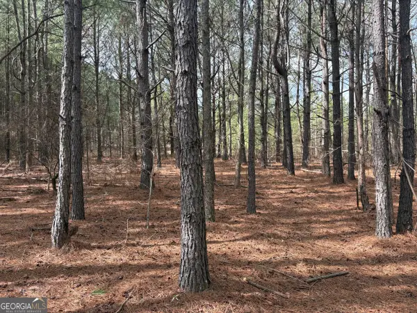 L2 Keysville-boggs Academy Road, Keysville, GA 30816