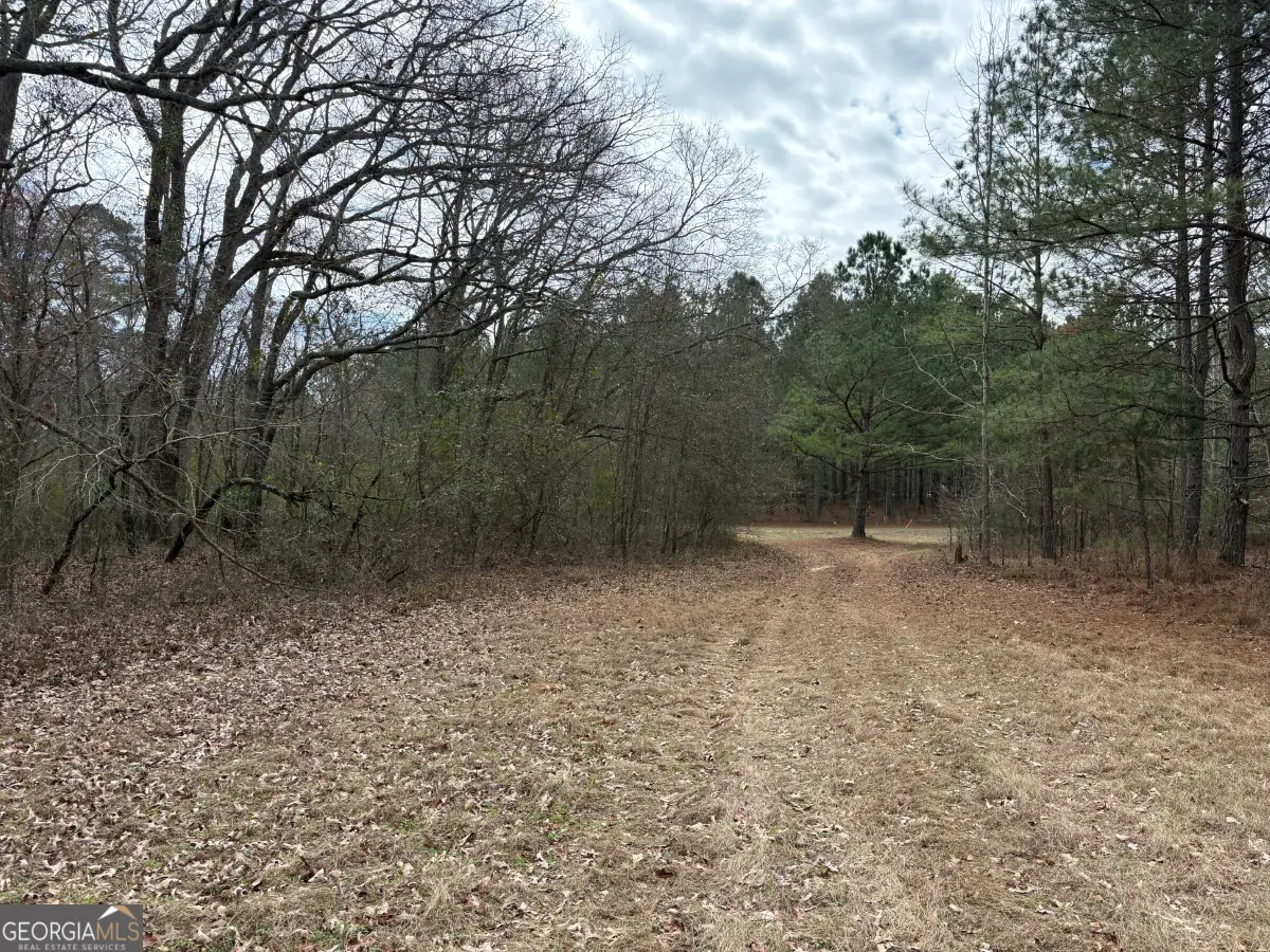 L8 Quaker Road, Keysville, GA 30816 - #1