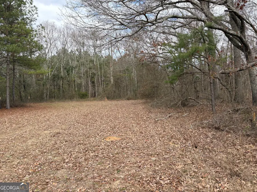 L8 Quaker Road, Keysville, GA 30816 - #3