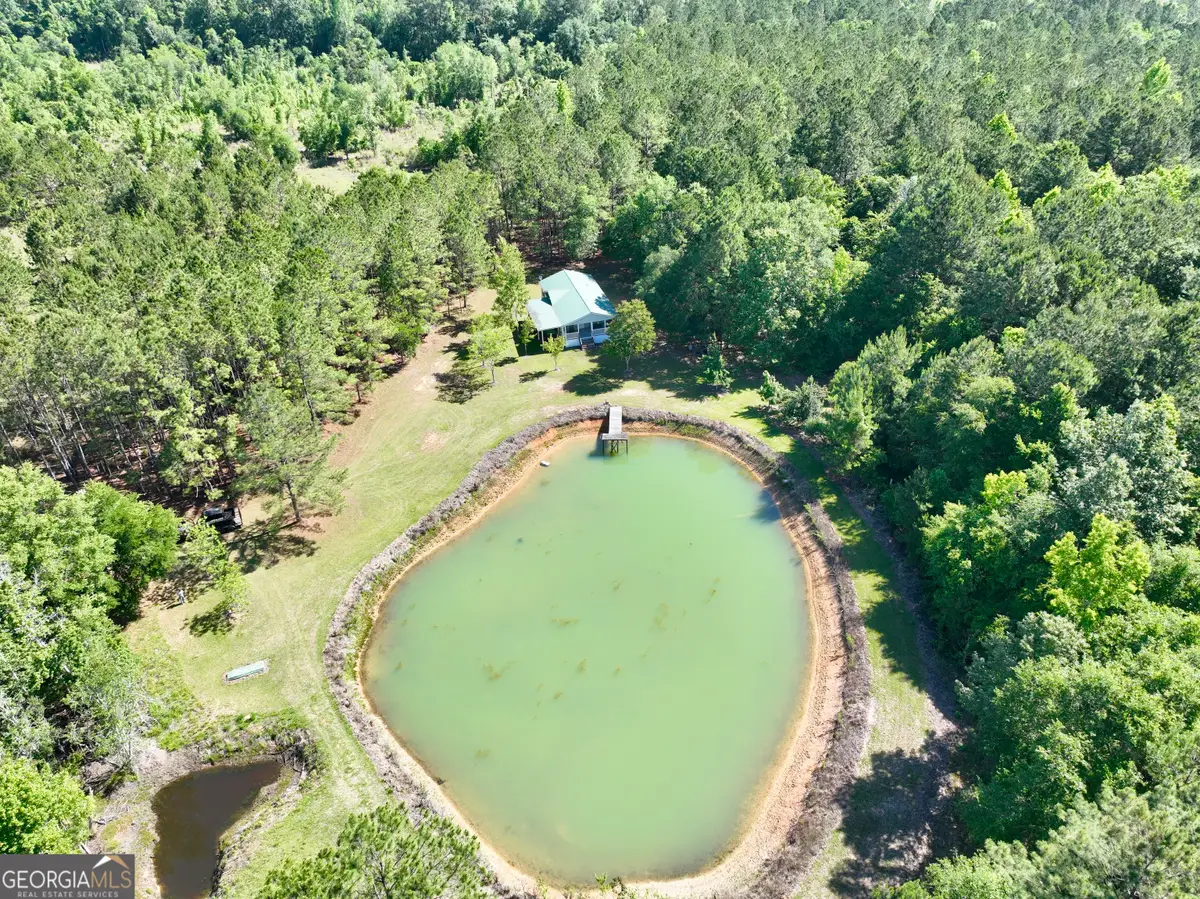 769 Mount Olive Church Road, Eastman, GA 31023 - #1