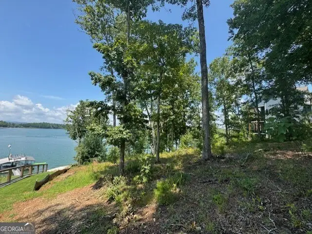 LOT 5 Hunter Lane, Blairsville, GA 30512 - #3