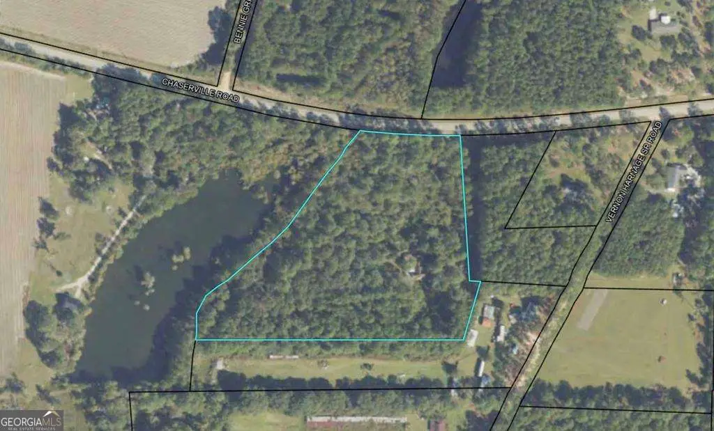 2058 Chaserville Road, Nashville, GA 31639 - #1