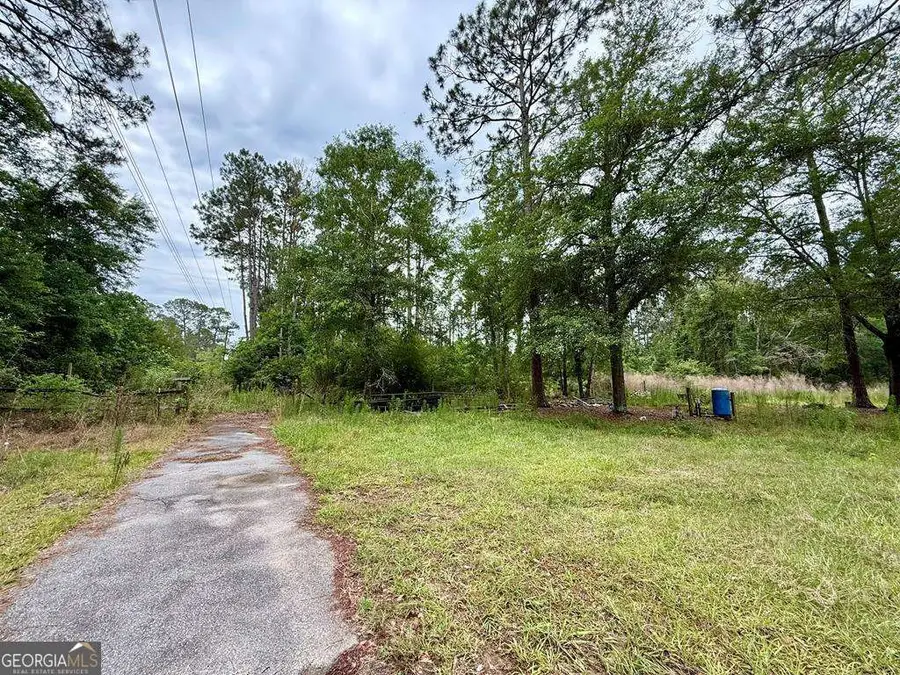 2058 Chaserville Road, Nashville, GA 31639 - #3