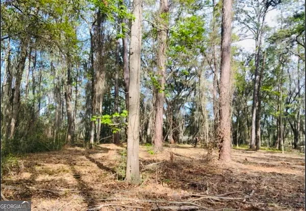 0000 W Black Island Road Se, Darien, GA 31305