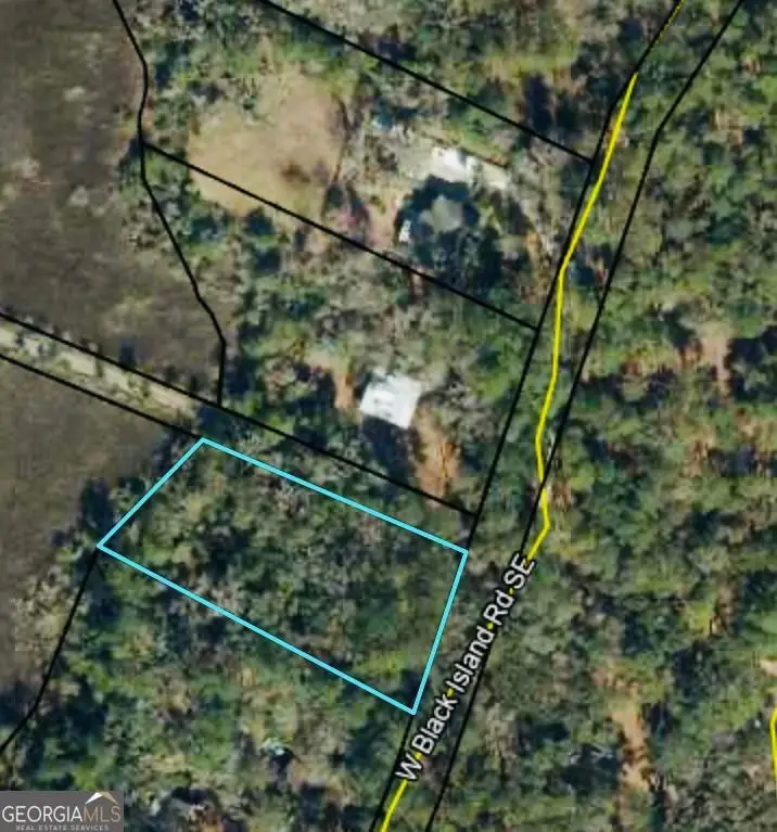 0 W Black Island Road Se, Darien, GA 31305 - #2