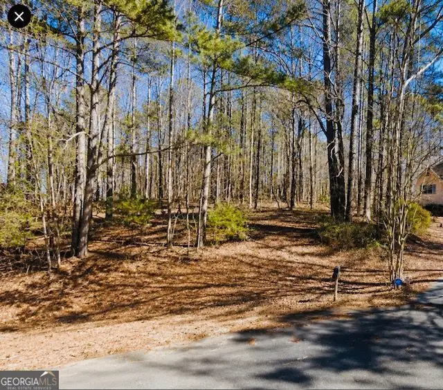 110 Bunnie Trail, Ellenwood, GA 30294 - #1