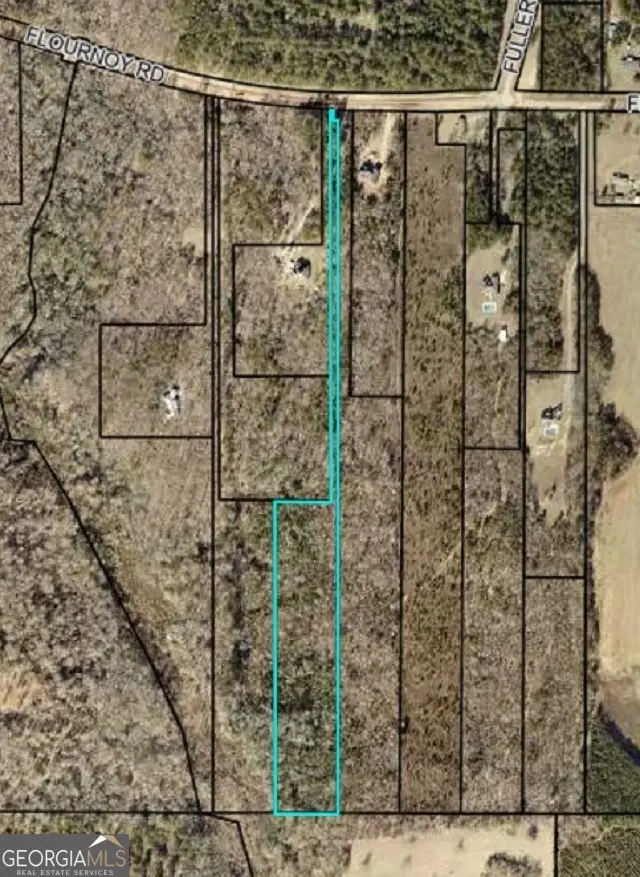 0 Flournoy Road, Hawkinsville, GA 31036 - #1