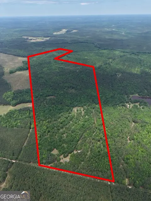 715 Fulsome Creek Road, Sparta, GA 31087 - #1