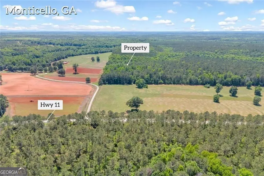 0 Hwy 11, Monticello, GA 31064 - #3