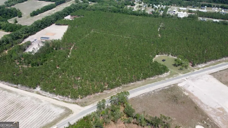 4690 Godwin Road, Blackshear, GA 31516 - #3