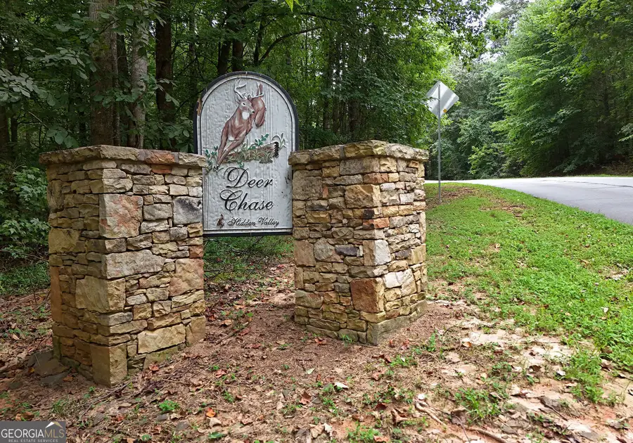 1175 Deer Chase Road, Toccoa, GA 30577 - #3