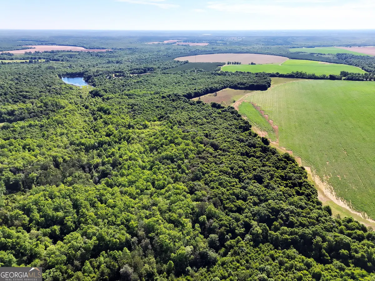 2415 E Us Hwy 82, Shellman, GA 39884 - #1