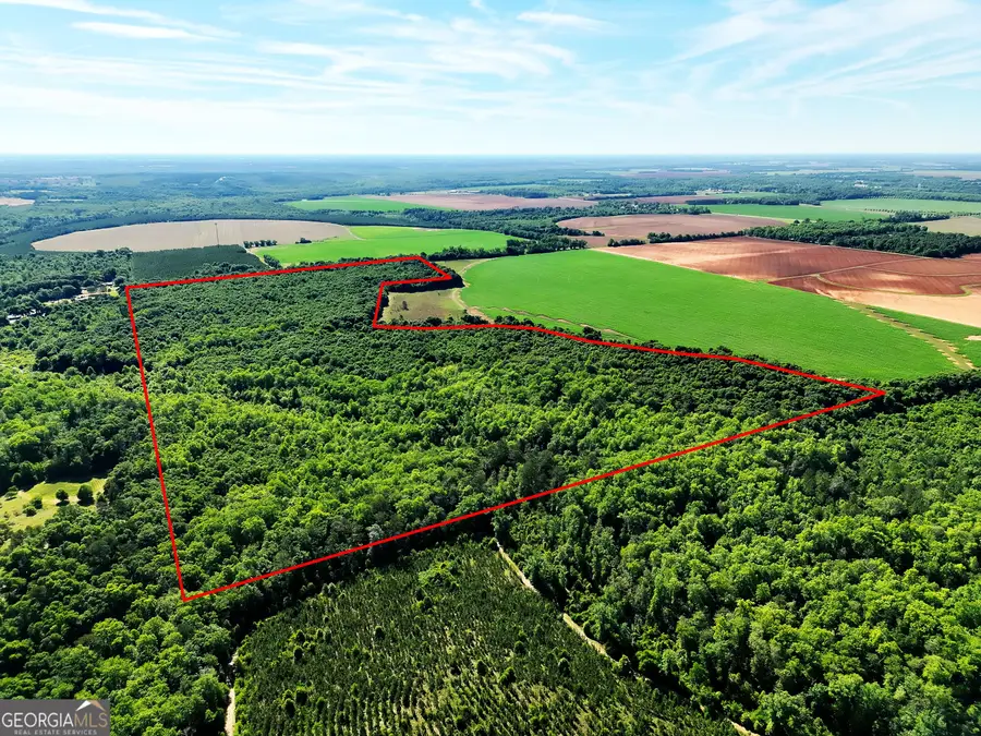 2415 E Us Hwy 82, Shellman, GA 39884 - #2