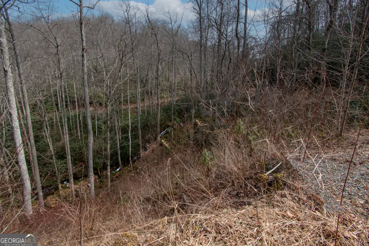0 Walnut Cove Branch Road, Cheoah, NC 28771 - #1