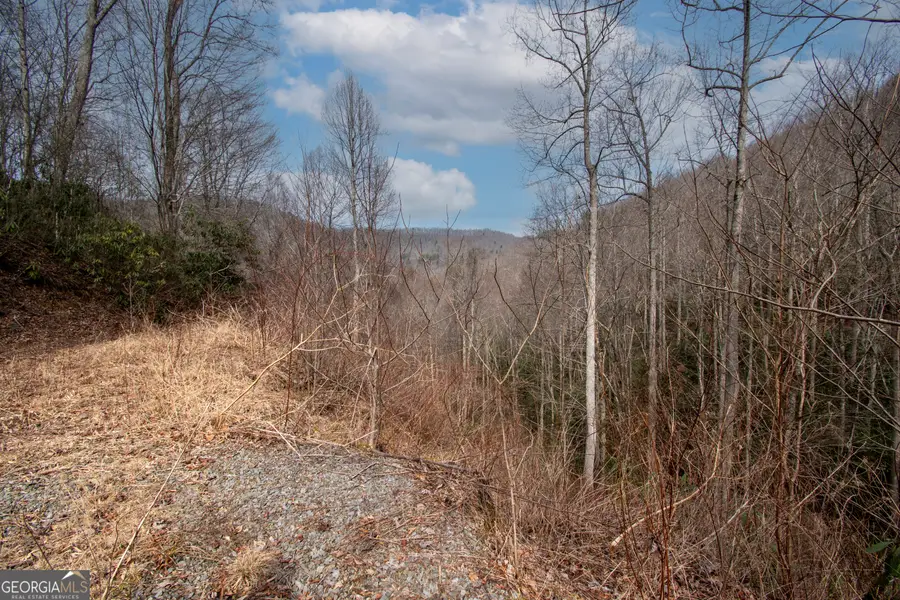 0 Walnut Cove Branch Road, Cheoah, NC 28771 - #2