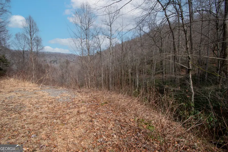 0 Walnut Cove Branch Road, Cheoah, NC 28771 - #3