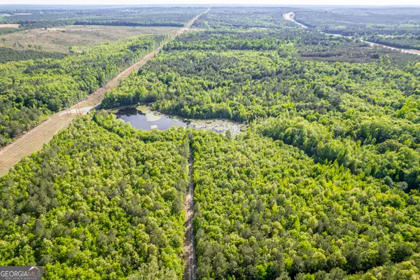 21701 Highway 441, McIntyre, GA 31054