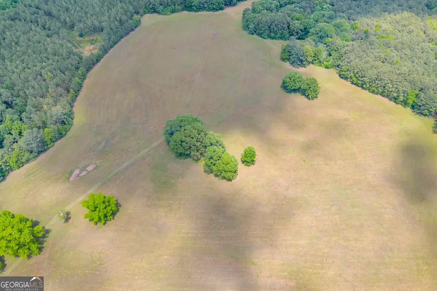 0 LOT A Pitts Chapel Road, Monticello, GA 31064 - #2