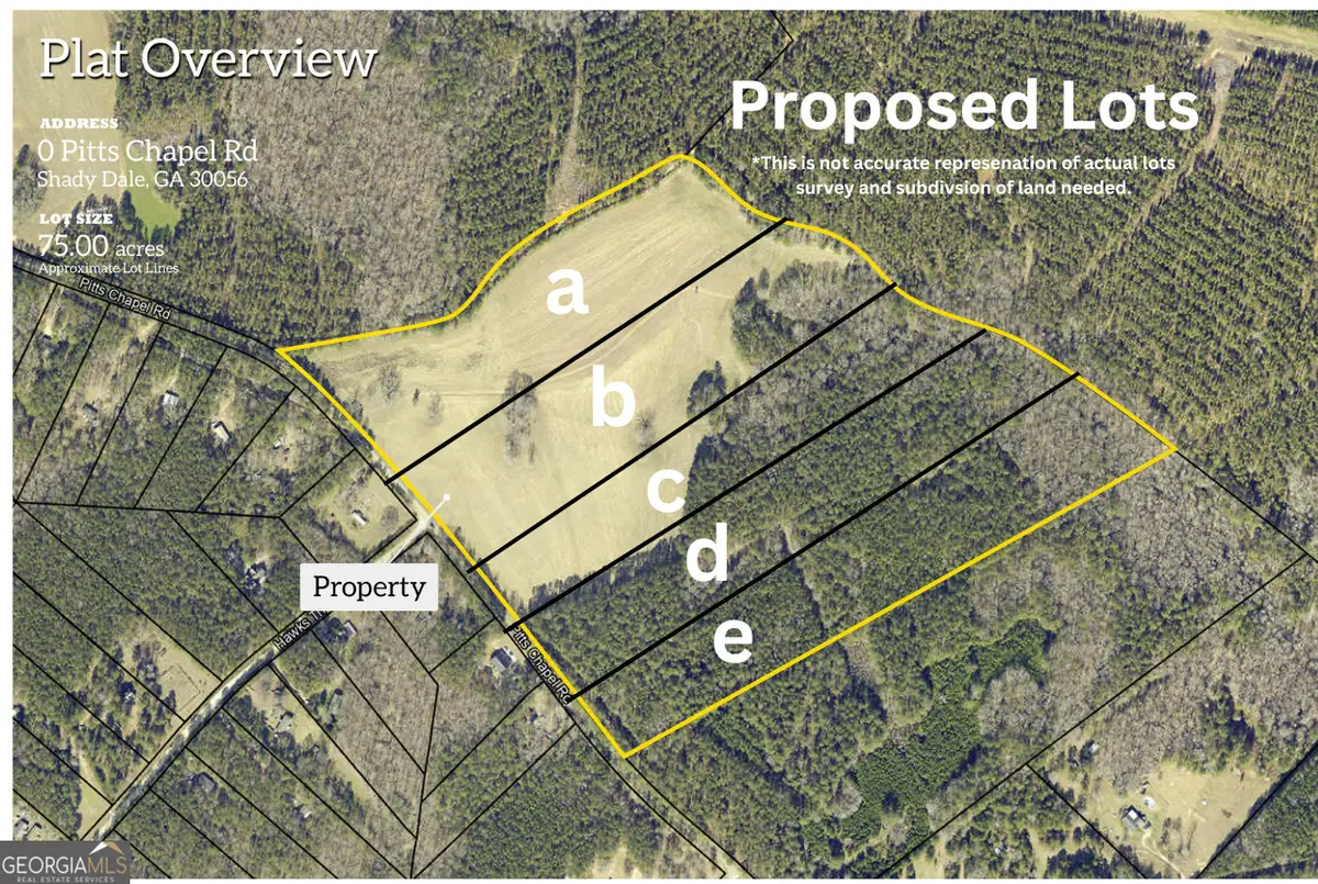 LOT A O Pitts Chapel Road, Monticello, GA 31064 - #1