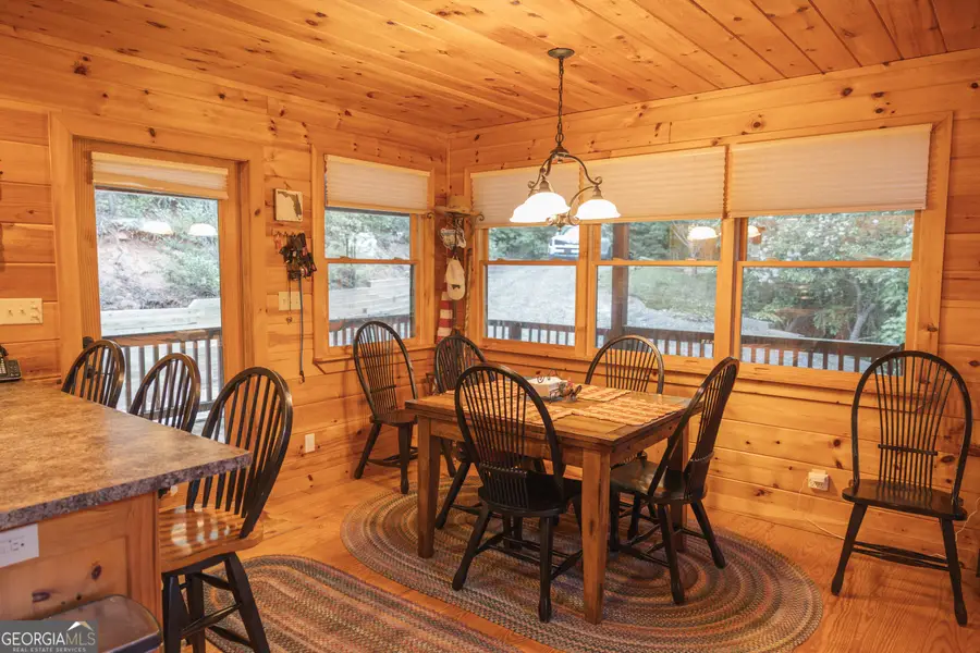 351 John Dick Overlook, Blue Ridge, GA 30513 - #3