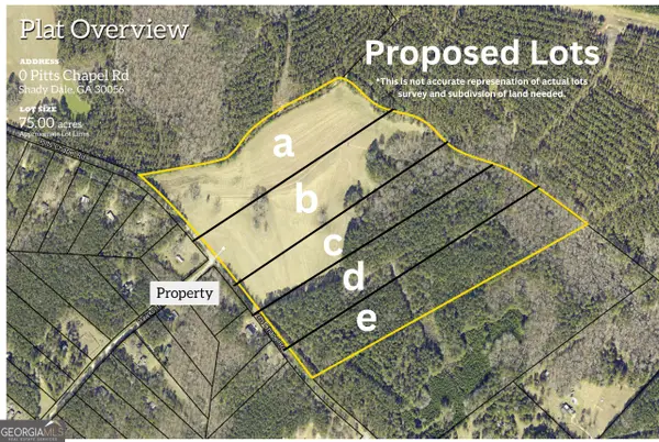 LOT C 0 Pitts Chapel Road, Monticello, GA 31064