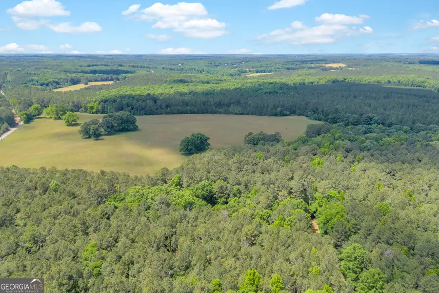 LOT C 0 Pitts Chapel Road, Monticello, GA 31064 - #3