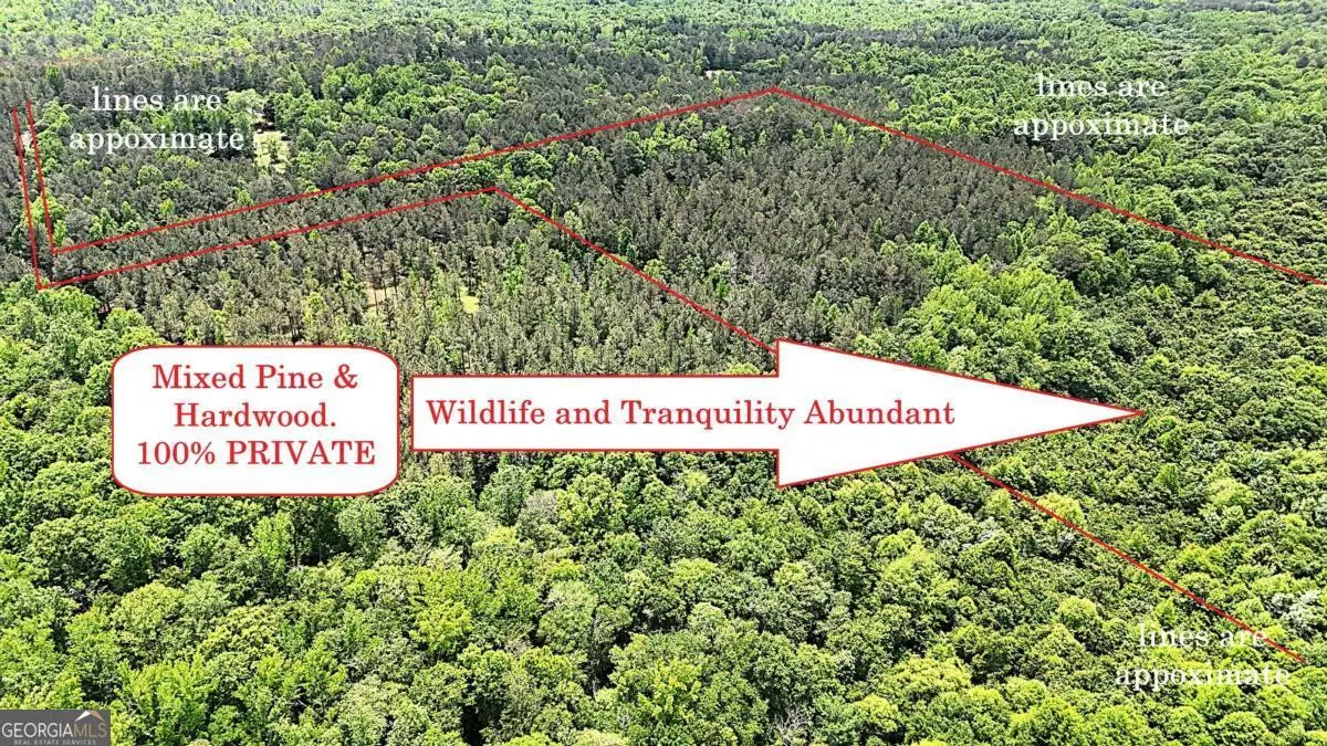 00001 Wilson Road, Temple, GA 30179 - #1