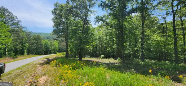 LT 90 Barrel Knot Court, Ellijay, GA 30536