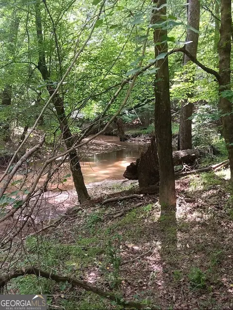 0 Pulliam Mill Road, Dewy Rose, GA 30634 - #2