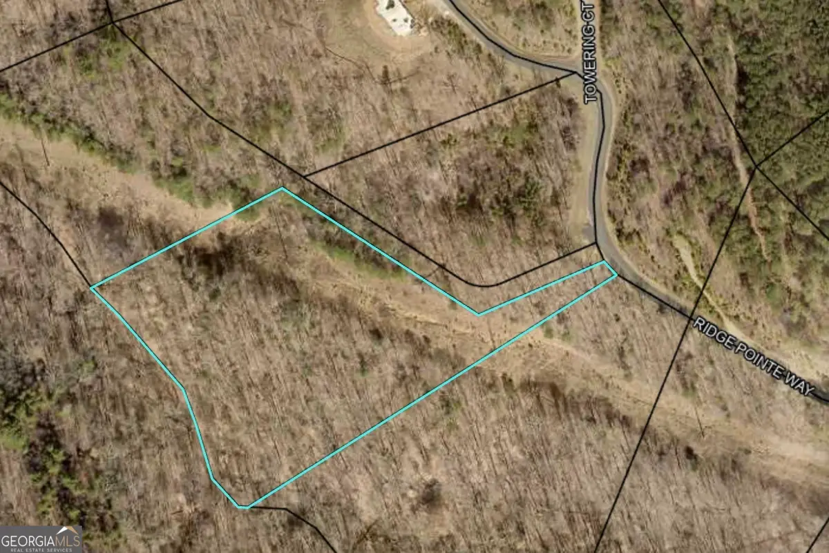 0 Ridge Pointe Way, Blairsville, GA 30512 - #1