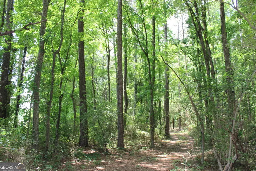 1 Neese Commerce Road, Commerce, GA 30529 - #3