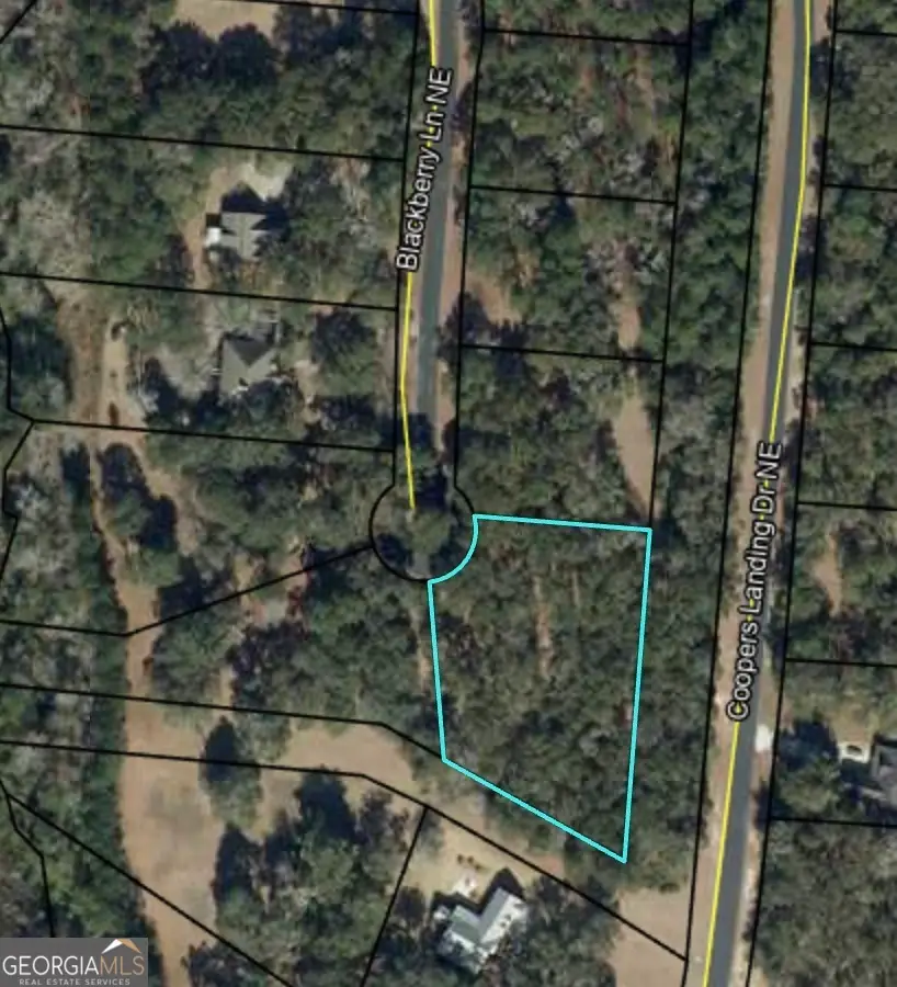 0 Blakberry Lane Ne, Townsend, GA 31331 - #2