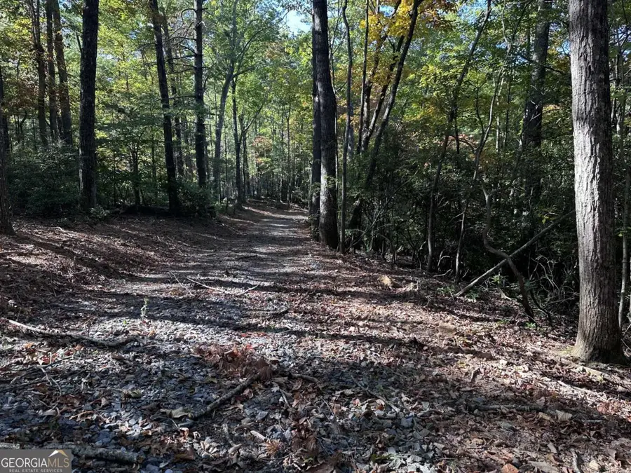 3A Turniptown Road, Ellijay, GA 30536 - #2