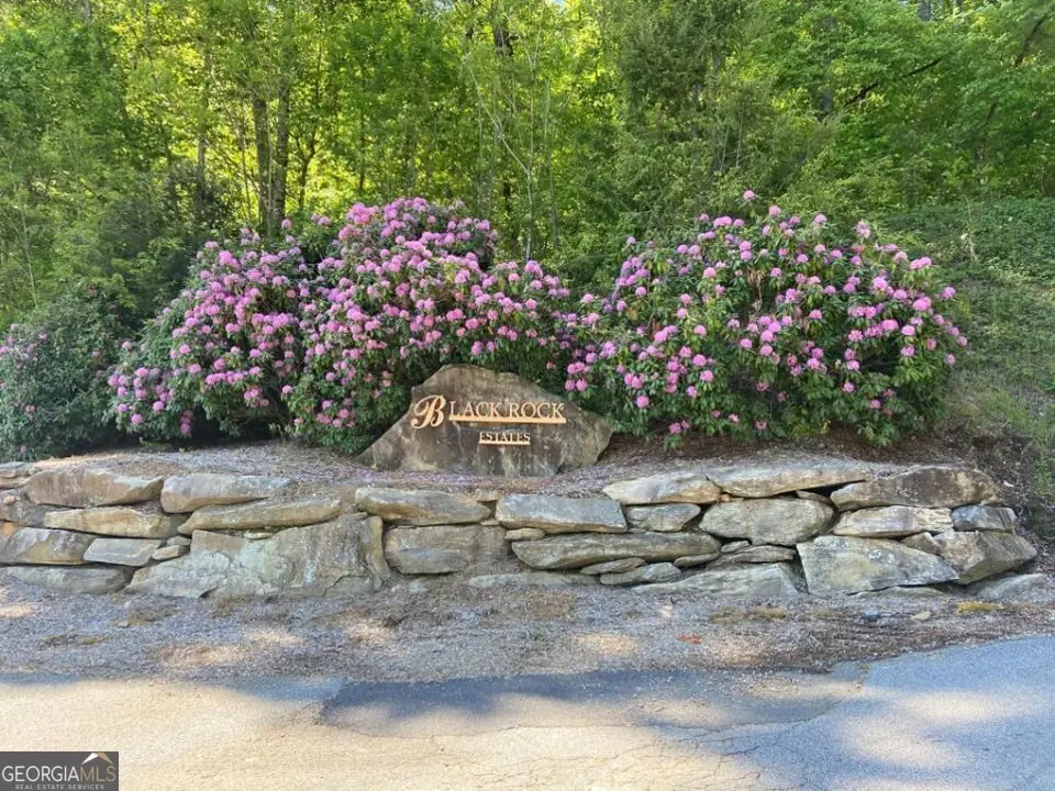 LOT 36 Winding View, Clayton, GA 30525 - #1