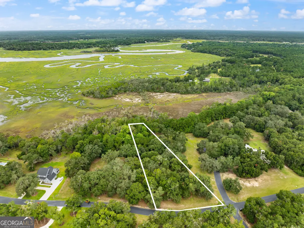LOT 241 Coopers Landing Drive Ne, Townsend, GA 31331 - #1