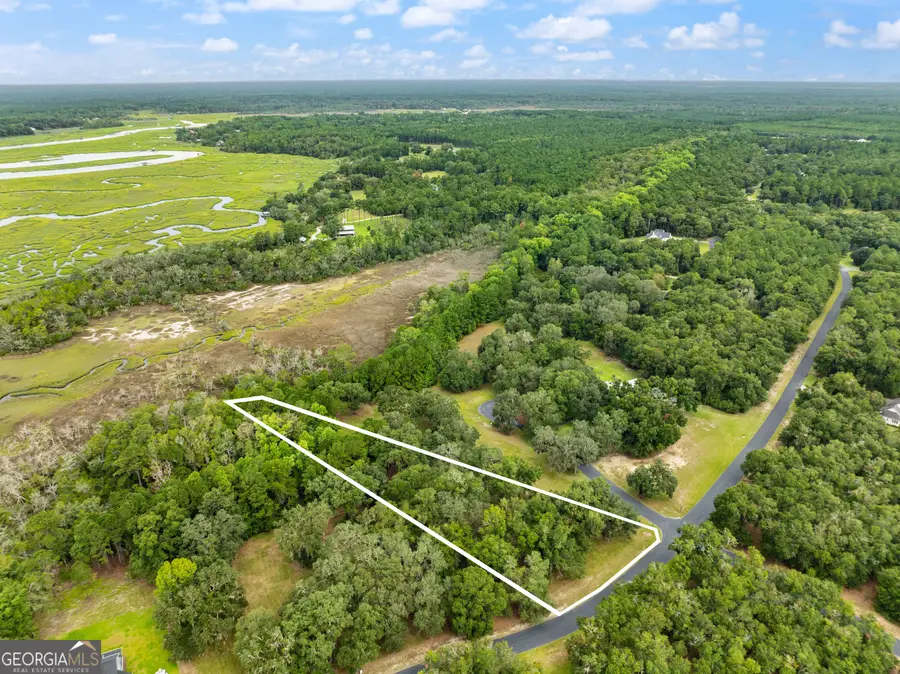 LOT 241 Coopers Landing Drive Ne, Townsend, GA 31331 - #2