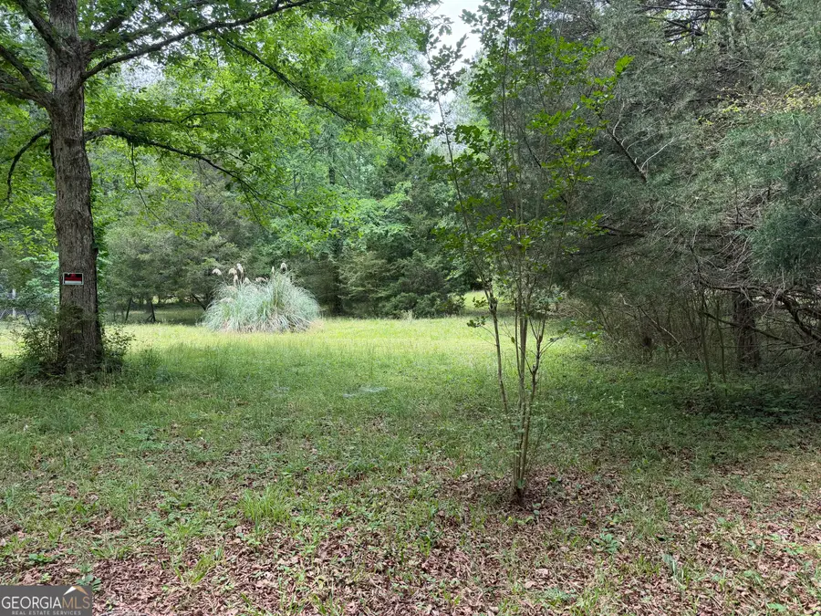 4131 Greensboro Road, Madison, GA 30650 - #3