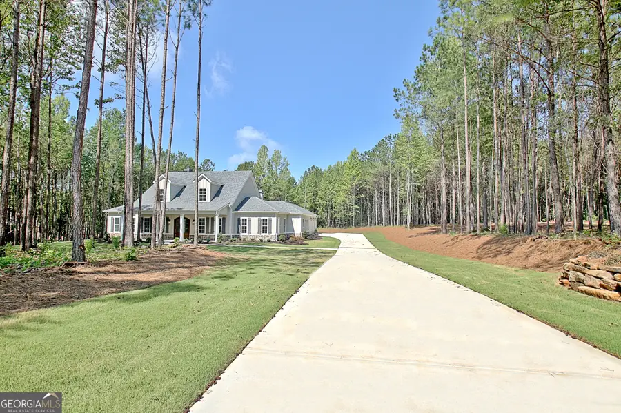 250 Bob Smith Road, Sharpsburg, GA 30277 - #3