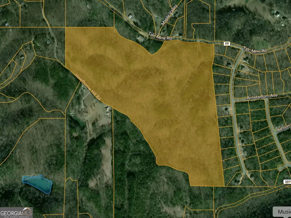 0 Talc Mine Road, Jasper, GA 30143 - #1