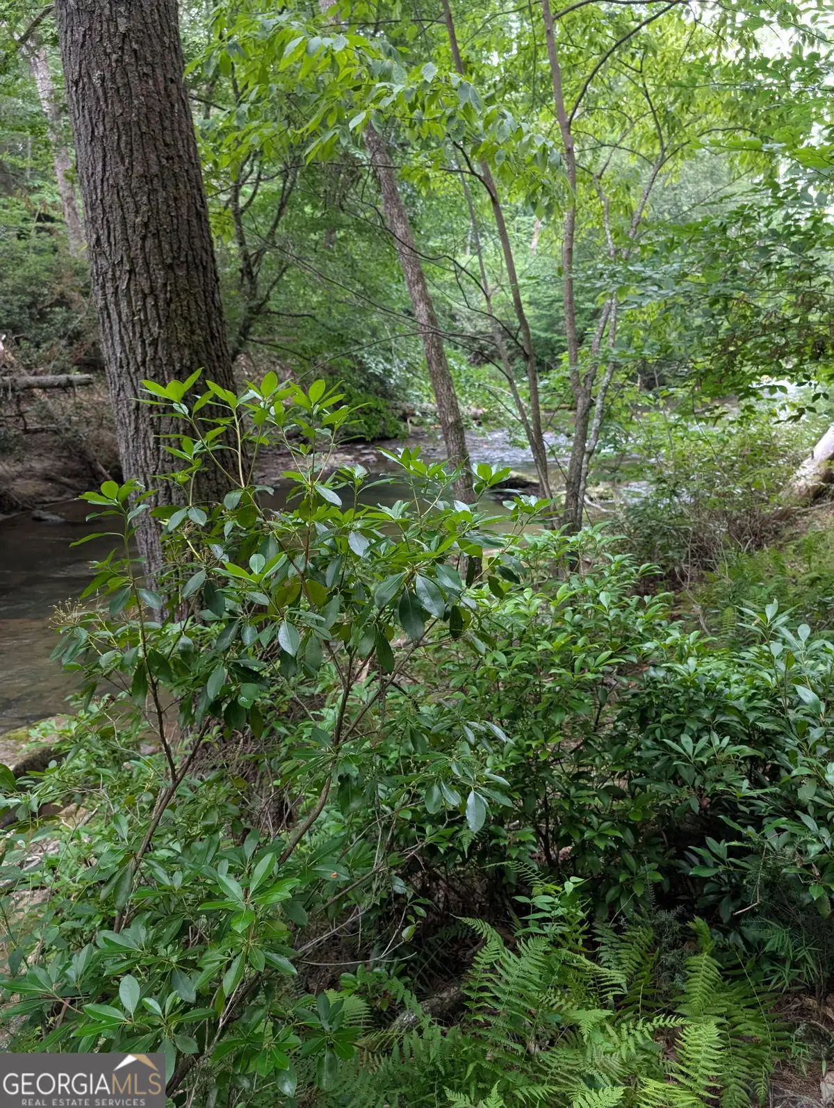 LOT 32 Byers Road, Blairsville, GA 30512 - #1