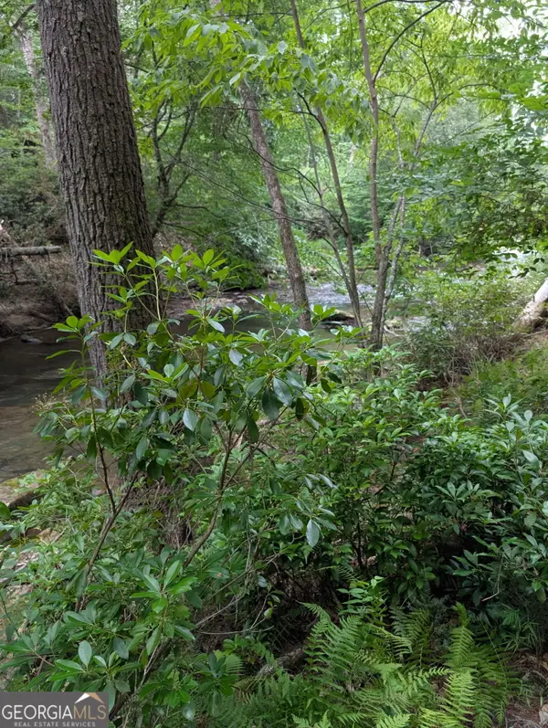 LOT 32 Byers Road, Blairsville, GA 30512