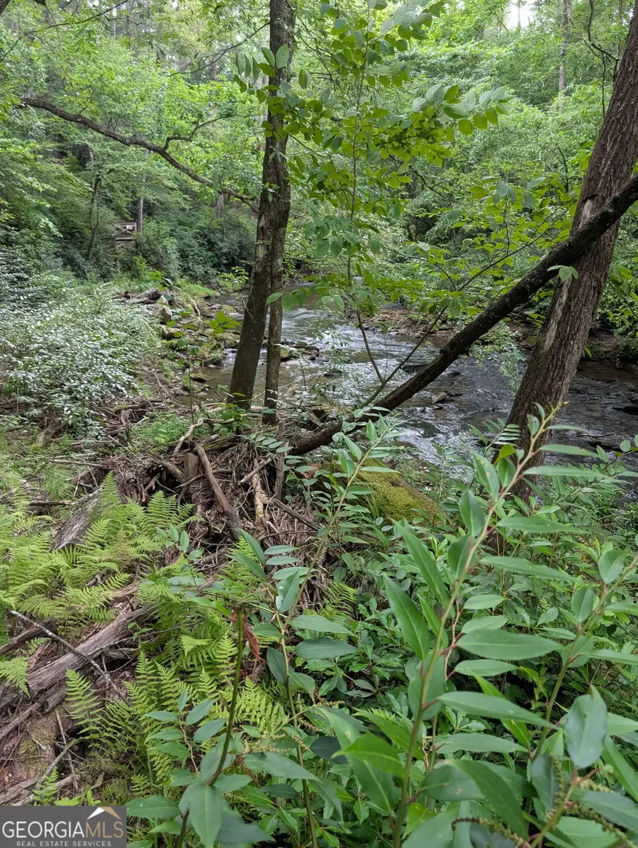 LOT 32 Byers Road, Blairsville, GA 30512 - #2