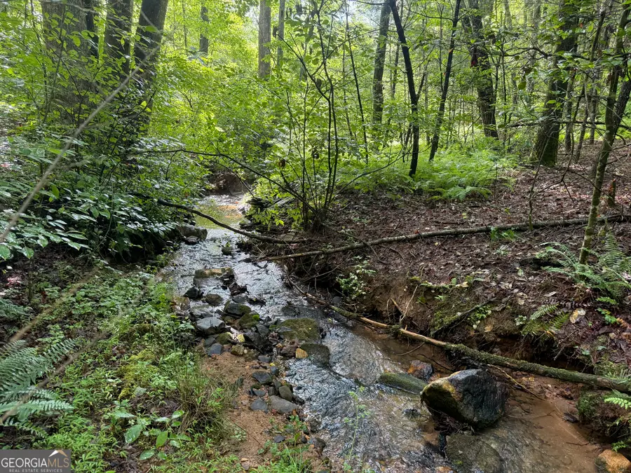 LOT 9 Peach Orchard Way, Tiger, GA 30576 - #2